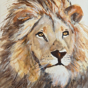 “When the Kgalagadi is calling”