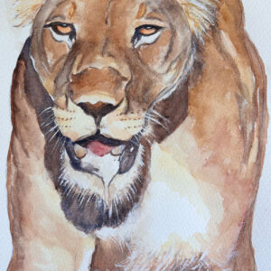 Foaming Kgalagadi Queen